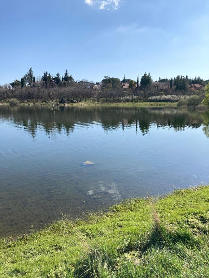 Los Cedros, Gran Chalet Con Piscina Y Apartamento En Navacerrada Eksteriør billede