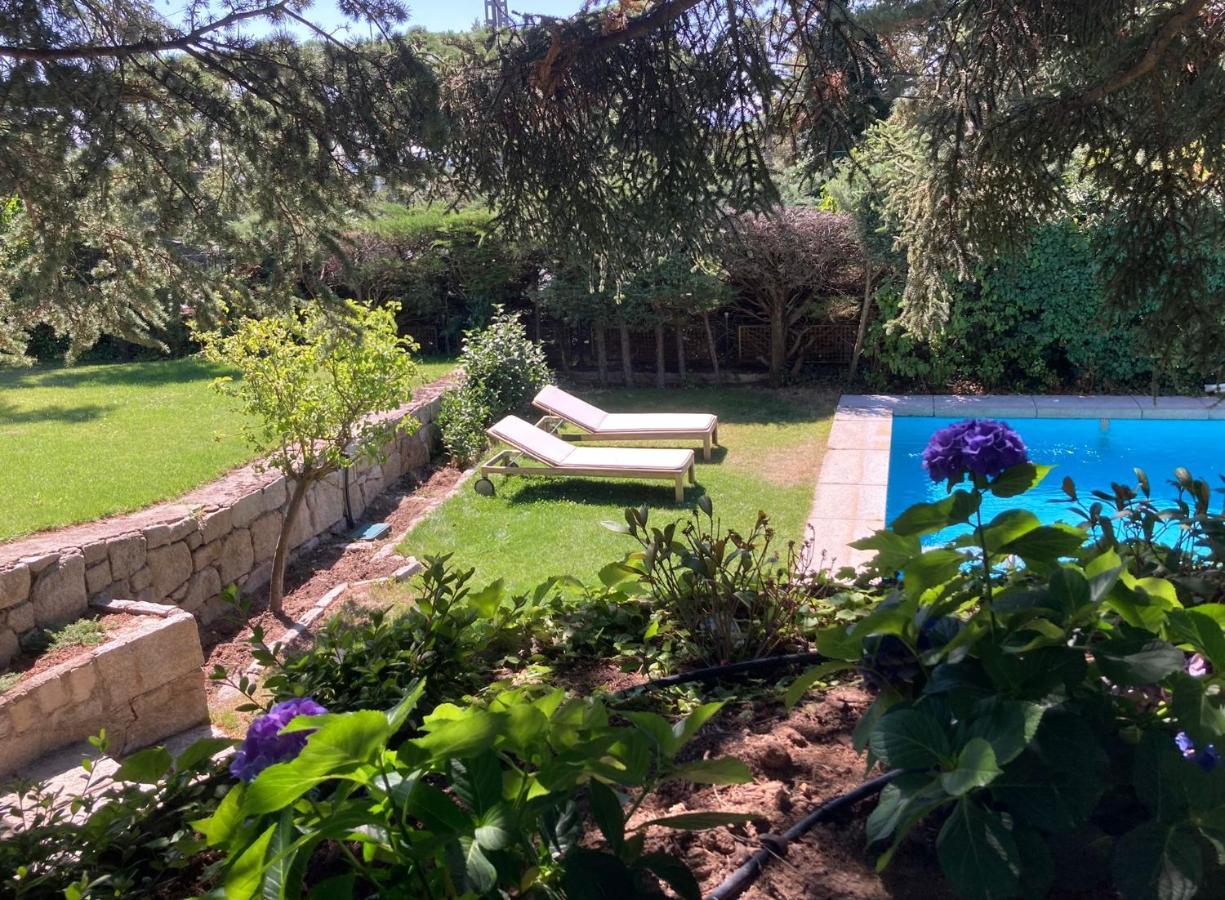 Los Cedros, Gran Chalet Con Piscina Y Apartamento En Navacerrada Eksteriør billede