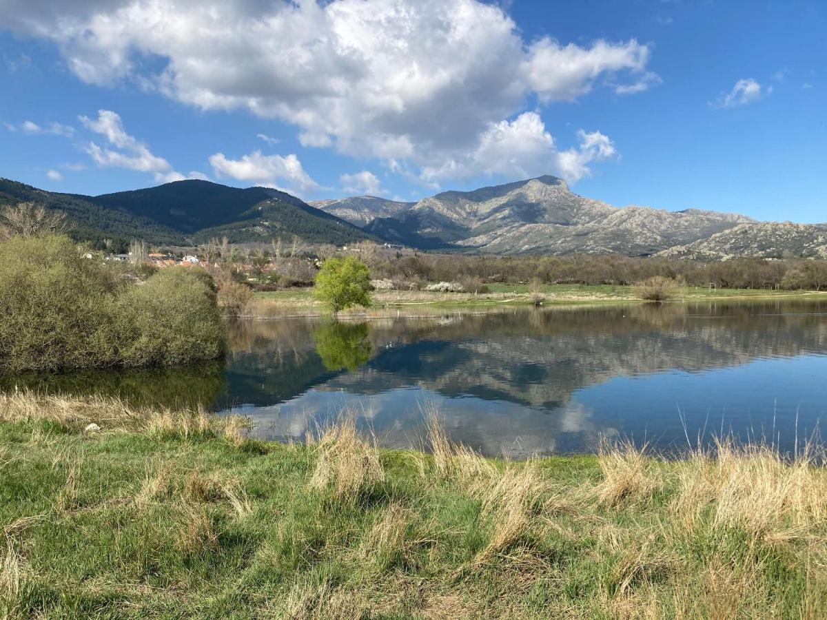 Los Cedros, Gran Chalet Con Piscina Y Apartamento En Navacerrada Villa Eksteriør billede