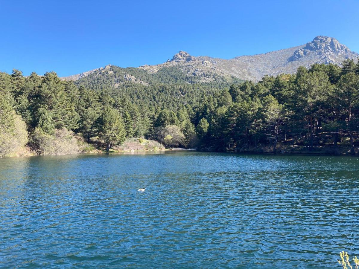 Los Cedros, Gran Chalet Con Piscina Y Apartamento En Navacerrada Villa Eksteriør billede