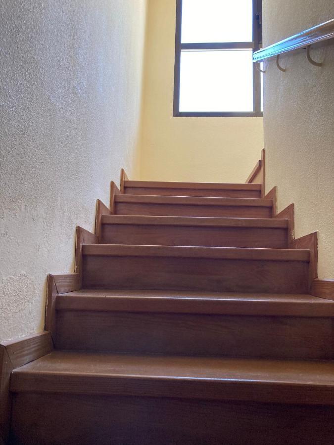 Los Cedros, Gran Chalet Con Piscina Y Apartamento En Navacerrada Eksteriør billede