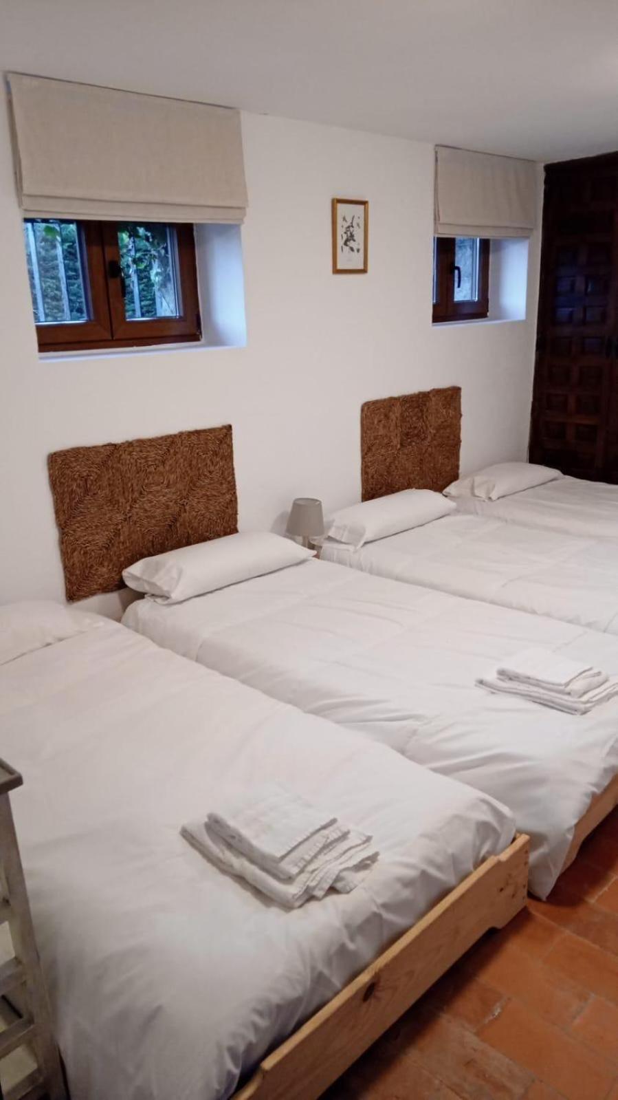 Los Cedros, Gran Chalet Con Piscina Y Apartamento En Navacerrada Eksteriør billede