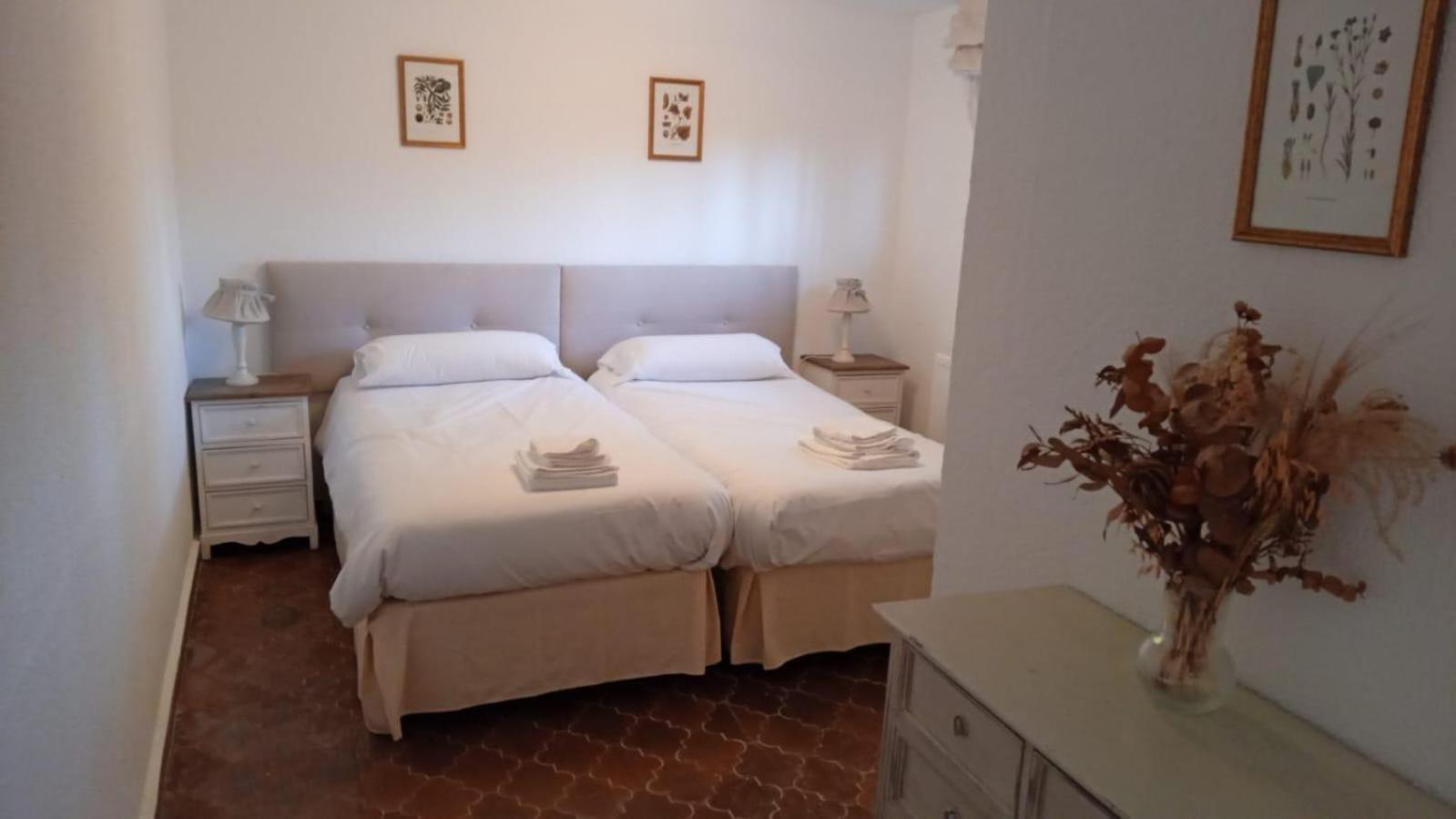 Los Cedros, Gran Chalet Con Piscina Y Apartamento En Navacerrada Eksteriør billede